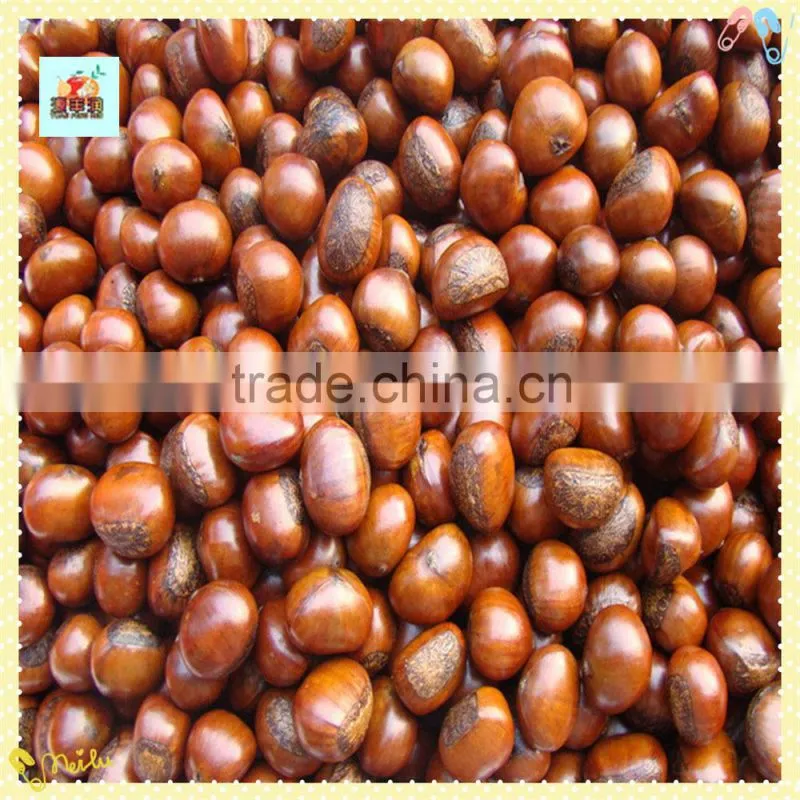 The best Chinese Chestnuts Species--Fresh Chestnut for sale