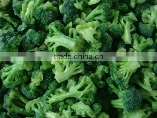 Frozen vegetable broccoli 3-5cm IQF Broccoli/Brocoli/ Brokkoli