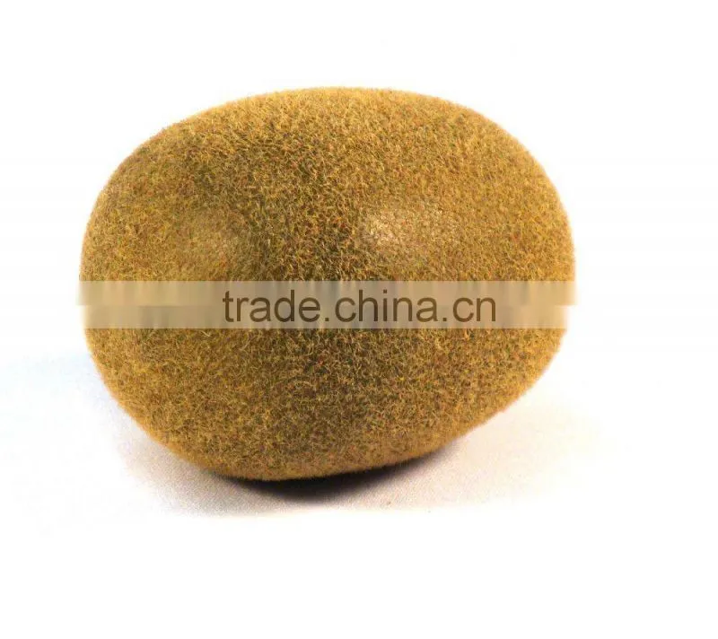 Silk Plants Direct Kiwi Fruit Artificial Fruits Fake Kiwi Artificial Kiwi