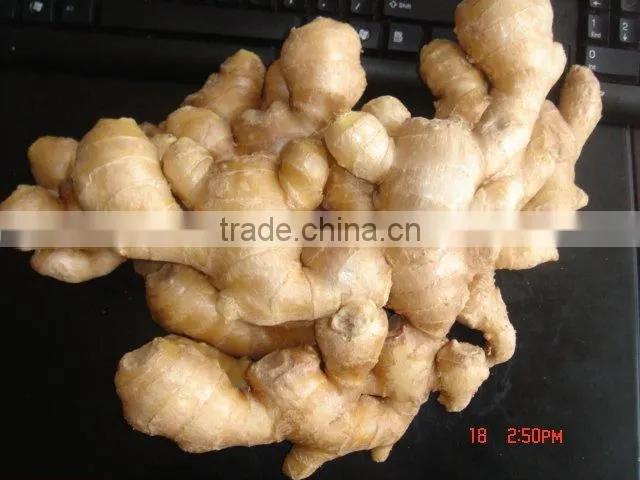 Fresh washed Ginger