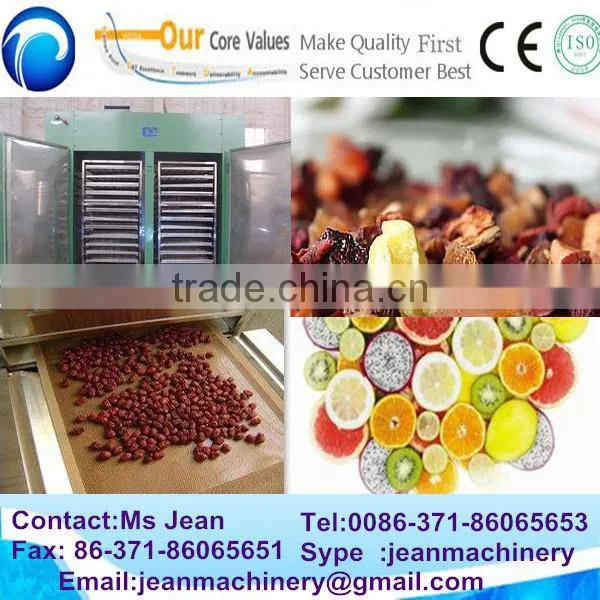 Fruit and vegetable dryer processing line / automatic cart dryer for fruit and vegetable (0086-13683717037)