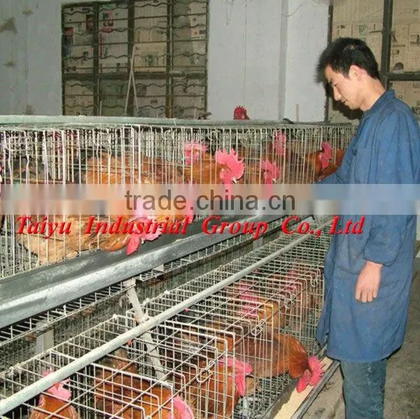 TAIYU-9 boiler/brooder chicken cage