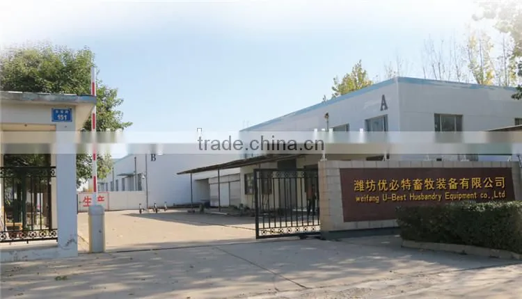chicken feed pan system for broiler