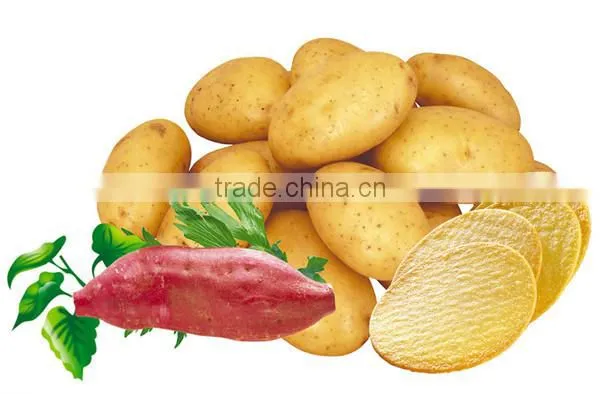 small scale potato chips production line