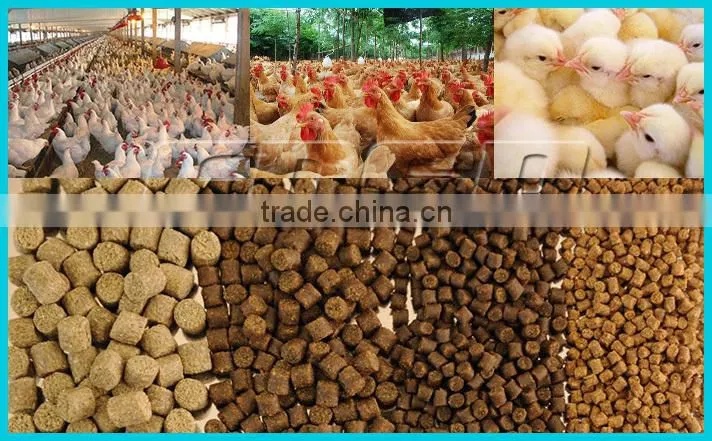 Fish Food Pellet Making Machine/Carp Feed Pellet Mill Machine Price