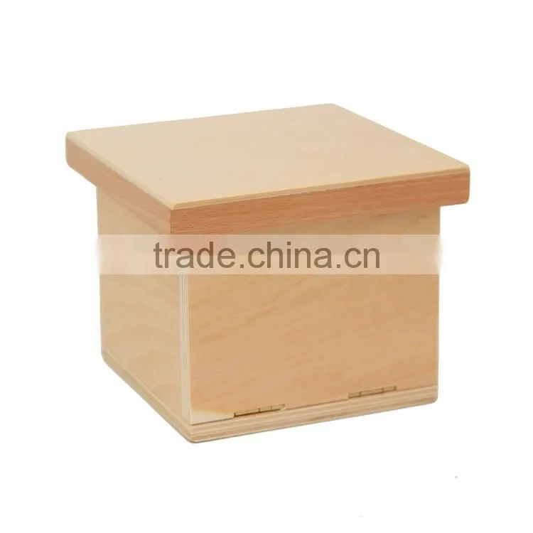 Early Childhood Education Preschool Training Kids Toys Montessori Volume Box with 1000 Cubes