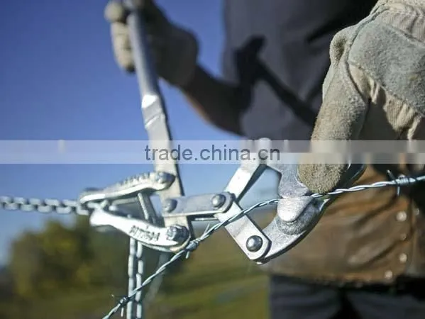 Electric Fence