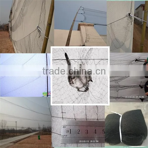 hdpe agricultural bird netting, plastic garden bird catch net for sale