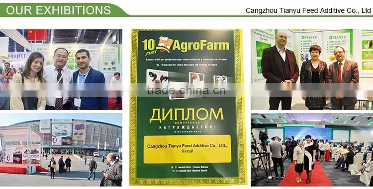 choline chloride/best price Choline Chloride 60% for poultry feed