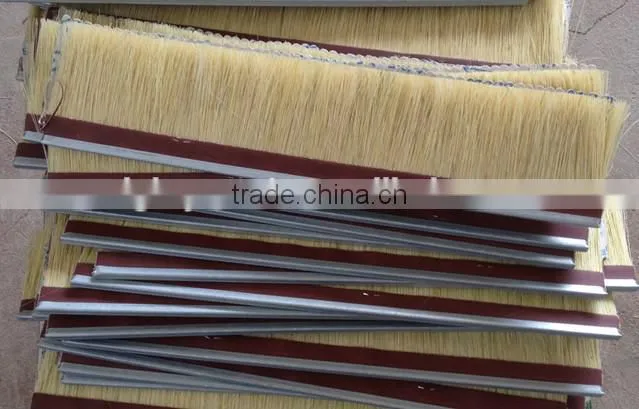 Strip Brushes