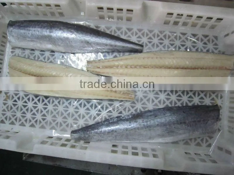 frozen mackerel fish 100-200g