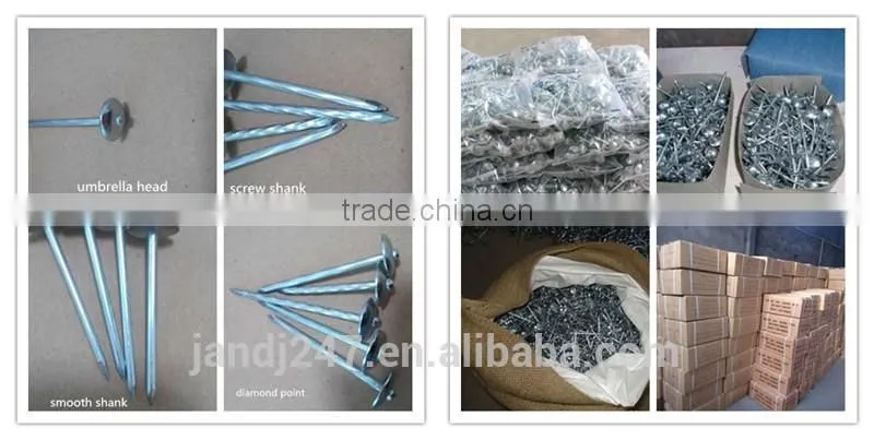 Galvanized Umbrella head Roofing nails from Guangzhou Supplier