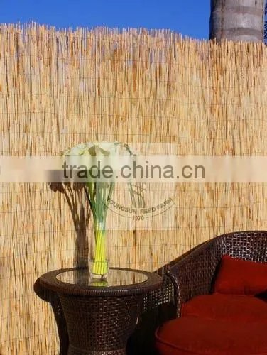 reed fence