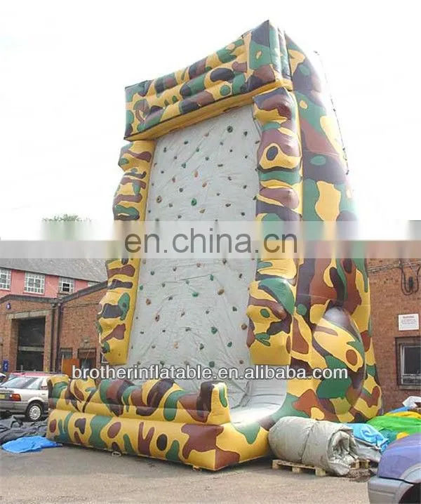 Amusement Park Inflatable Avalanche Climb China Supplier