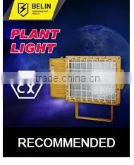 1000w floodlighting e40