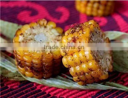 Mobile small type grain roasting machine/corn roasting oven