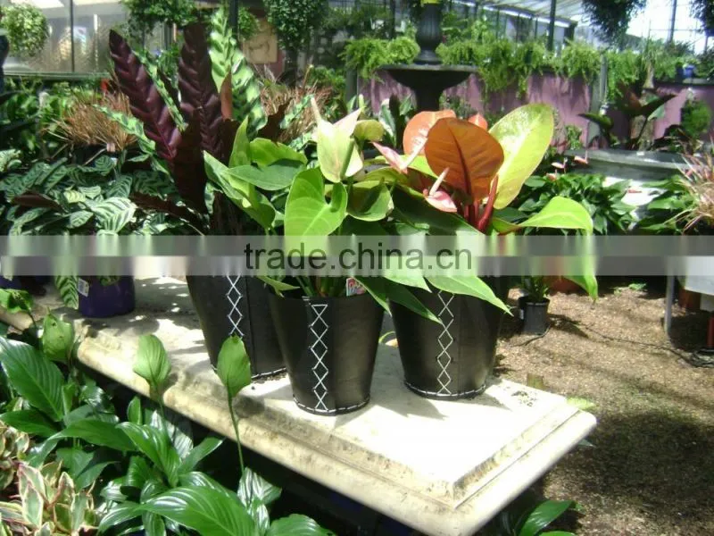 Car Tire Woven Baskets with hand
