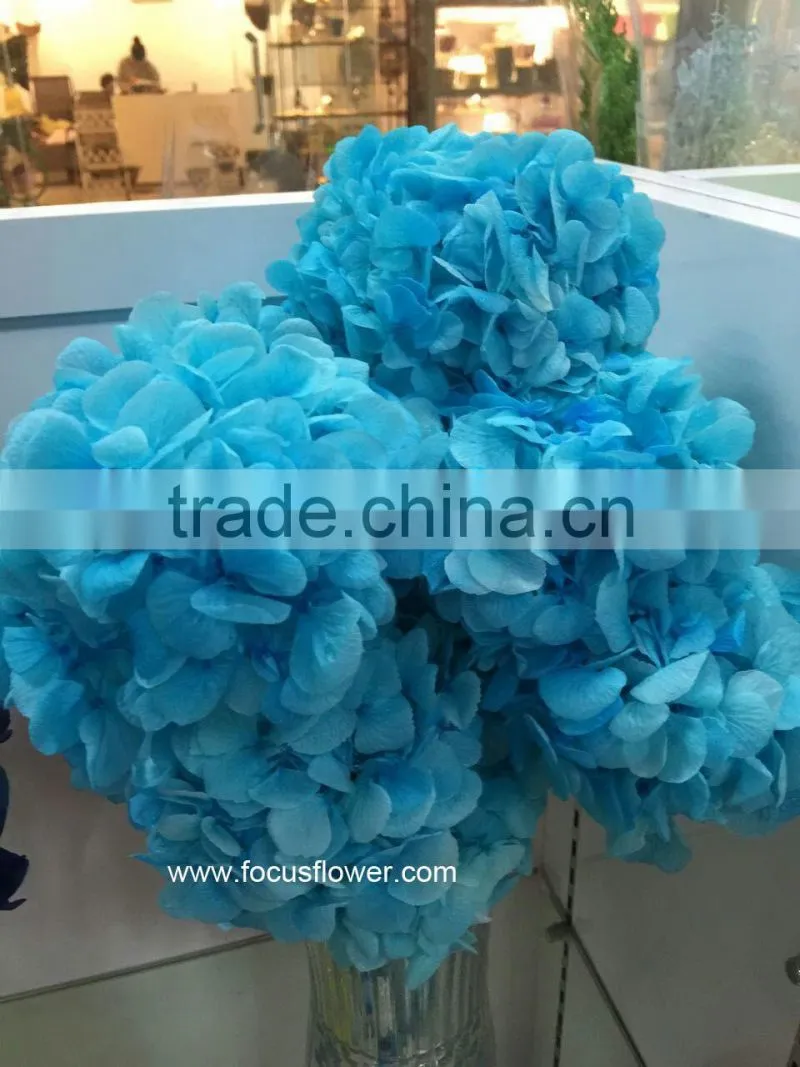 Wholesale Preserved Flower White Hydrangea With High Quality