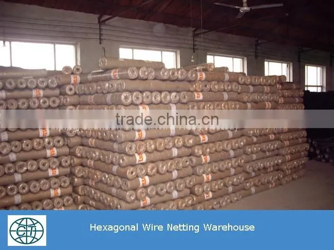 cheap price high quality fence mesh chicken wire mesh