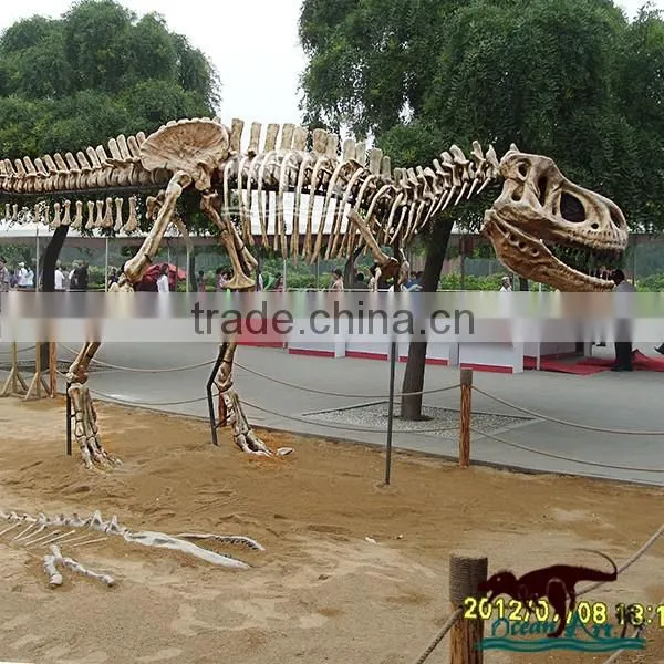 OA4082 high quality fossils dinosaur