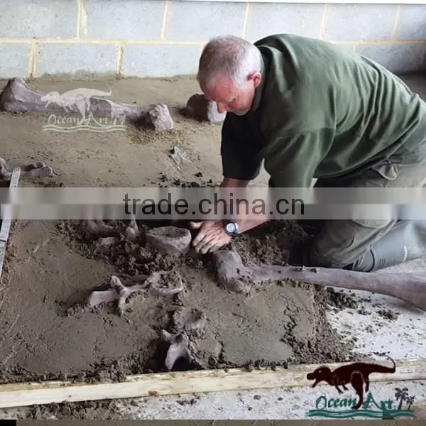 OA1032 Animatronic Dinosaur skeleton excavation kit