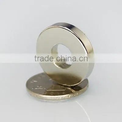 rare earth permanent multipoles magnet ring suppler