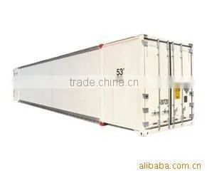 Special container/Reefer/Reefer container/container/transportation to South America