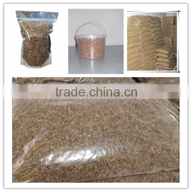 selling dried mealworms for sale free shipping