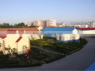 Changyi Longhai Flag Industry Co., Ltd. company overview - view 2