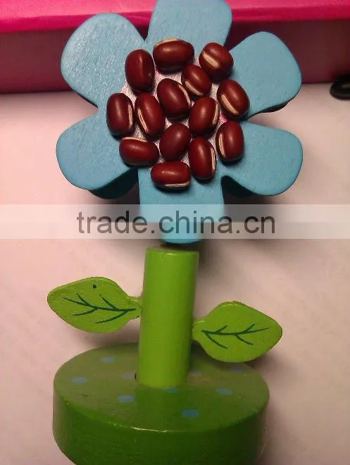 Organic Chinese Adzuki Bean/Small Red Bean( 2010 crop) Hps