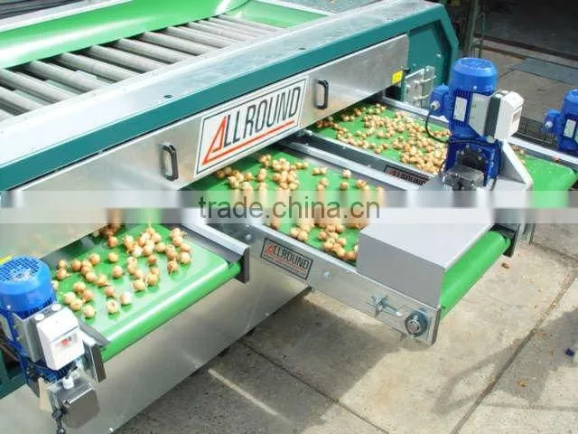 Chinese fresh chestnut with high quality good price