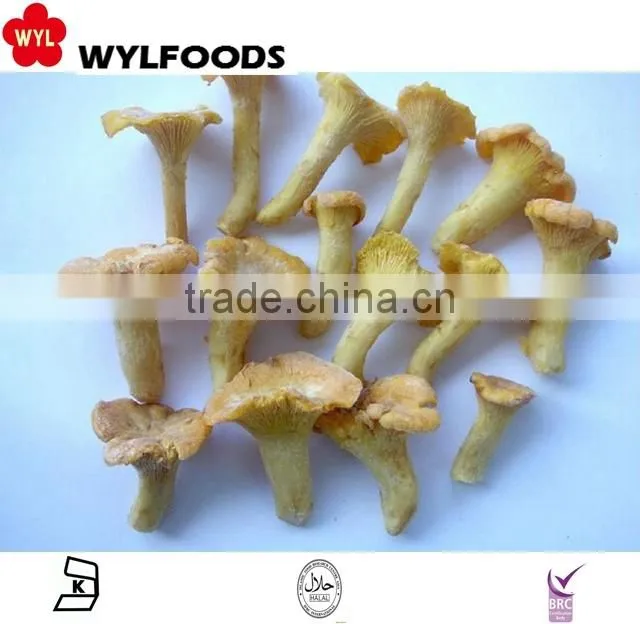 2015 new product China mushroom frozen chanterelles mushroom