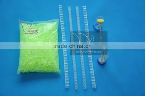 Queen rearing kit-Cell grid protector queen keeping system