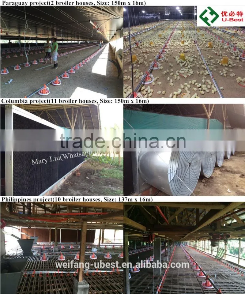 commercial steel structure poultry house/chicken farm/broiler shed