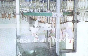 Stainless and Plastic Automatic Chicken Slaughter Line