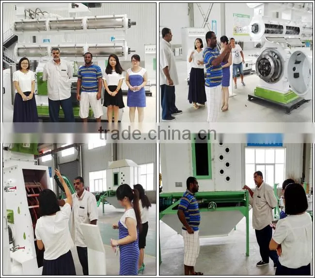 Premix equipment/Vitamin and minerals premix machine