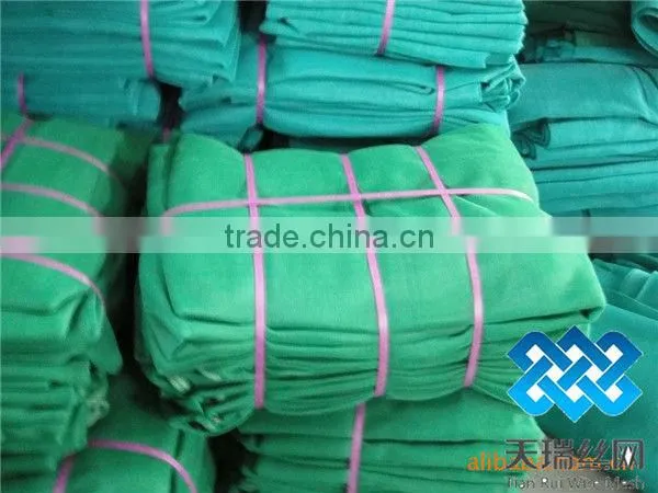 Scaffold Netting /Scaffolding Net/scaffolding safety nets
