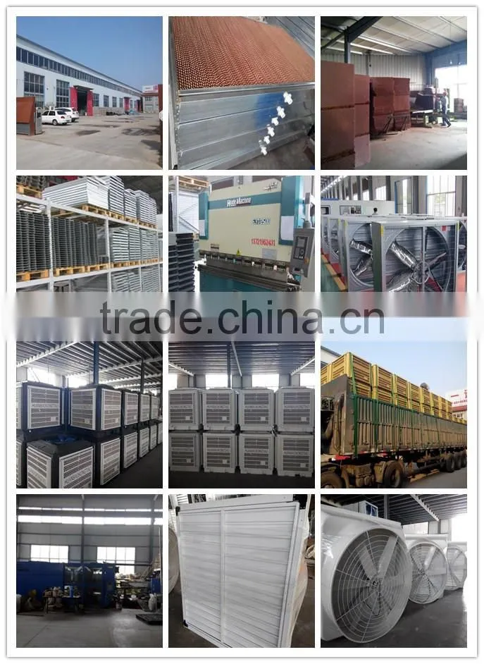 poultry use exhaust fan