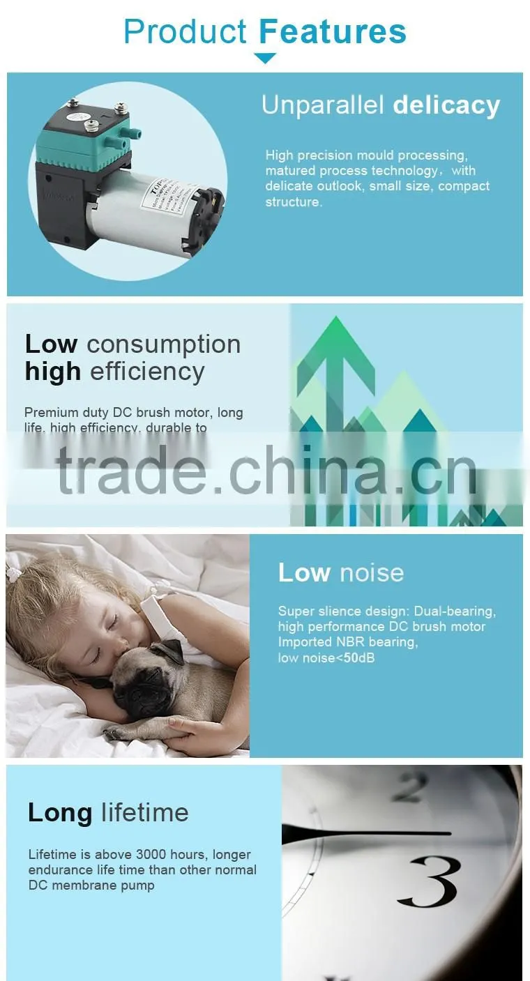 High Performance Liquid DC Diaphragm Water Pump