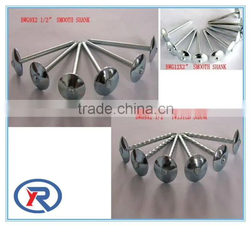 Umbrella head roofing nails and construction nails