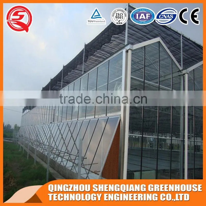 Agriculture hot galvanized steel frame glass greenhouse cooling system