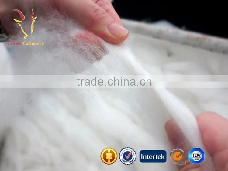 Light Grey High Quality Source of Cashmere Fibres