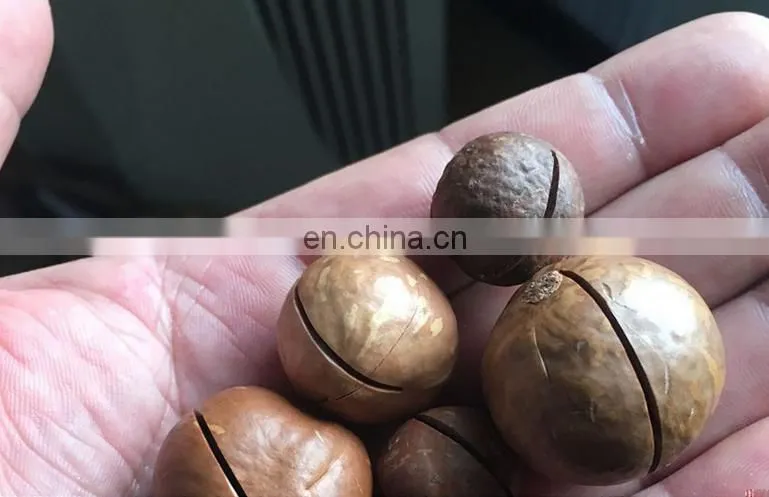 macadamia nuts tapping machine macadamia nuts tapping machine