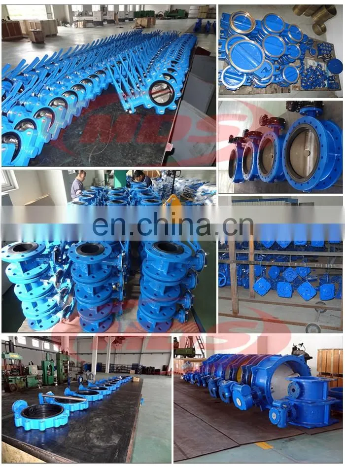 DIN3202 F1 cast iron rising stem globe valve DN50 PN16