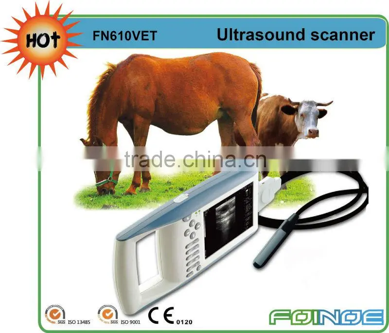 FN550V HOT selling full digital B model ultrasound veterinary portable