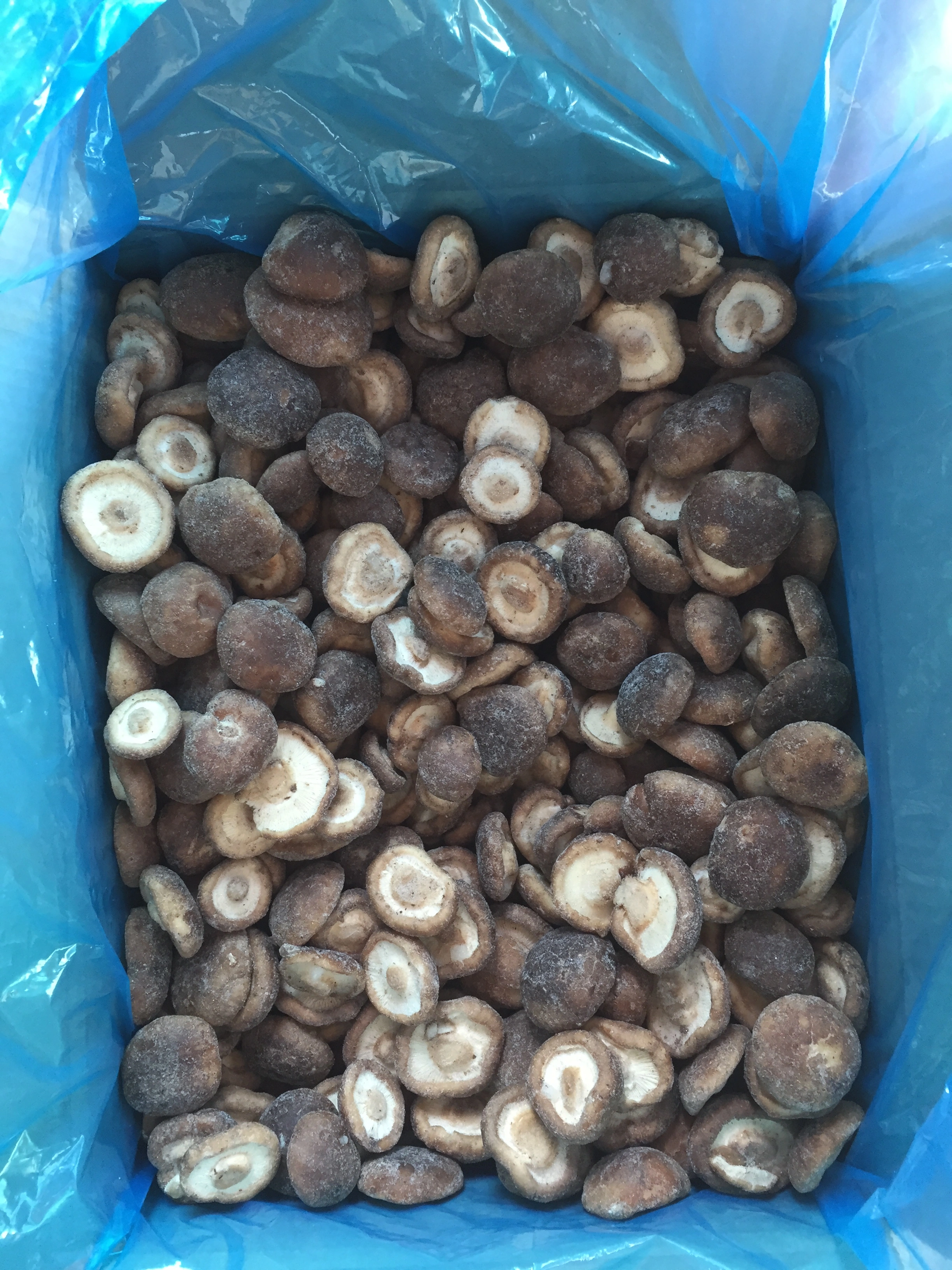 Hebei Hangen Import And Export Co.,ltd company overview - view 3