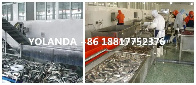 Factory Price Canned Catfish Processing Line