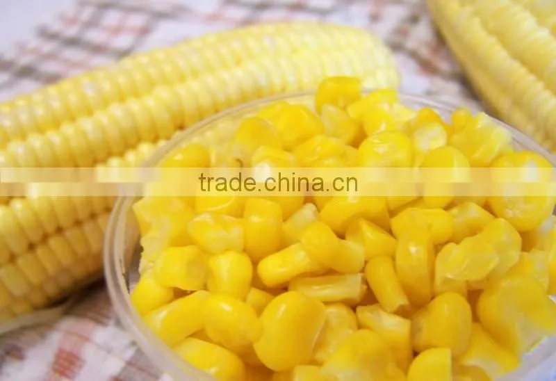 IQF Corn Kernel