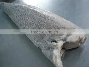 factory seafood frozen oilfish steak