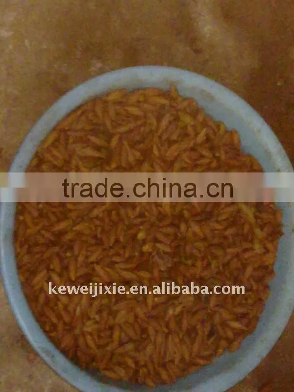 olive stoning machine